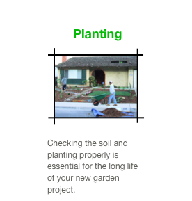 Planting
￼
Checking the soil and planting properly is essential for the long life of your new garden project. 